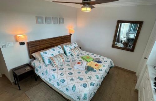 Wheeland Settlement Apartment | Seas the Day TCI -Sonos, Covered Balcony, hot tub