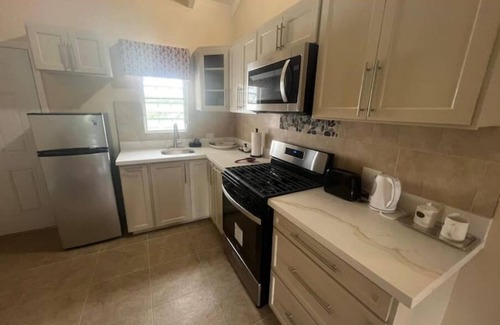 Saint George Parish Apartment | Seascape Modern Apt Near Airport