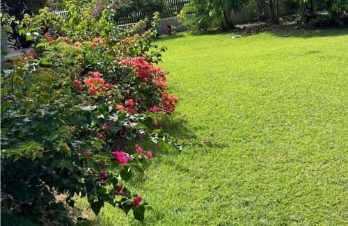 Saint George Parish Apartment | Seascape Studio Near the Airport is modern & suitable for business or vacation