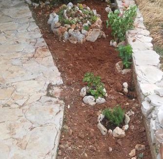 Gdinj Apartment | Seaside secluded apartments Cove Skozanje, Hvar - 14899