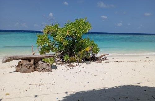 Vaavu Atoll House | Seaview by Ukulhas