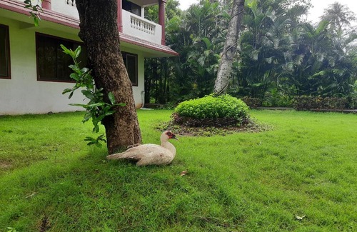 Dahanu Hotel | SEAWOODS BEACH HOTEL