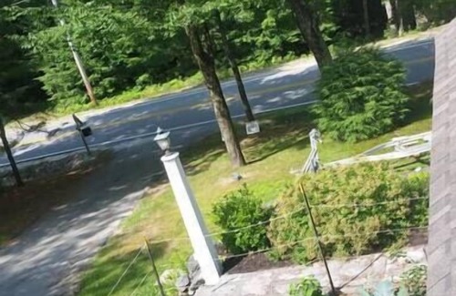 South Casco Cabin | Sebago Lake Cottage on Raymond Cape