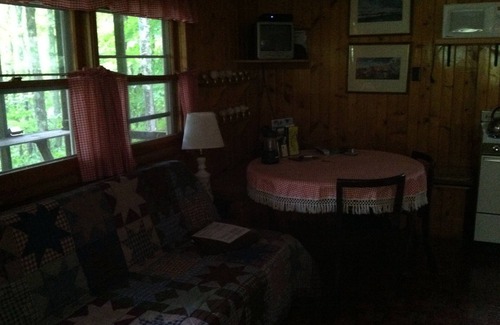 Hartwick Cabin | Secluded Cabin Nestled In The Trees Overlooking Fishing & Canoe Pond