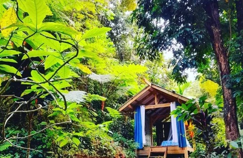 Utuado Other | Secluded Healing Mountain Retreat @ Finca Remedio Eco Farm