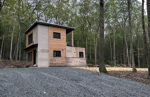 Eldred Cabin | Secluded modern cabin with hot tub