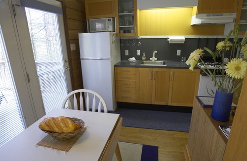 Dyke Cabin | Secluded, Romantic Mountain Cabin for 2, fully equipped