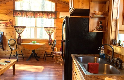 Murphy Cabin | Secluded Setting Conveniently located close to downtown.