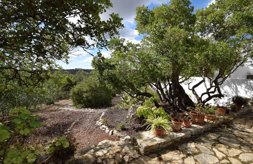 Quinta das Raposeiras Villa | Secluded Villa With a Private Swimming Pool