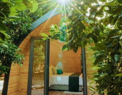 Pano Arodhes Hotel | Secret Forest - Wellness Retreat & Healing Spa