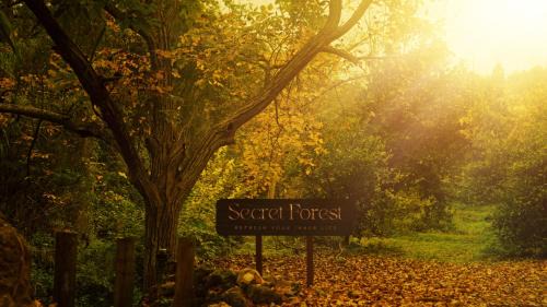 Pano Arodhes Hotel | Secret Forest - Wellness Retreat & Healing Spa