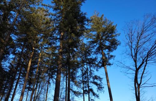 Municipality of Rijssen-Holten House | Secret Wellness Puur Natuur
