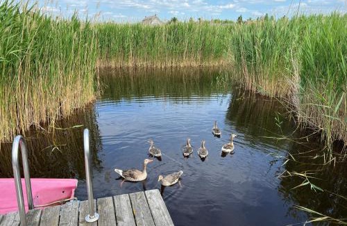 Rust House | Seehütte Neusiedlersee - Pfahlbau GlamPing