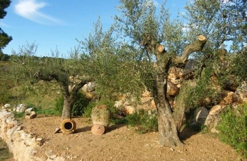 Torrelles de Foix Cottage | Self catering Can Cruset Agroturisme for 4 people