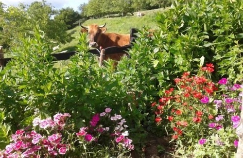 Larraun Cottage | Self catering Mikeletxenea for 14 people