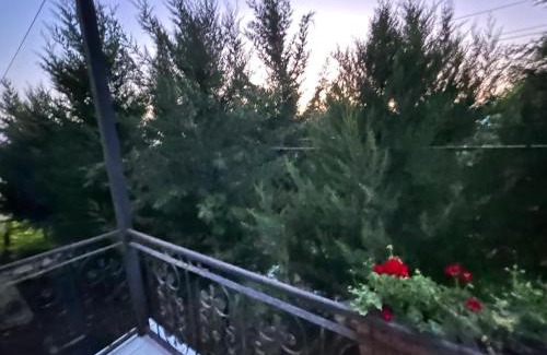 Azerbaijan House | SeMa Qonaq Evi