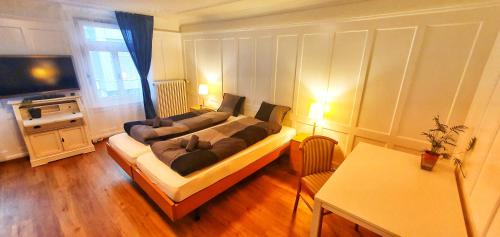 Freienbach House | Sensi Living Station
