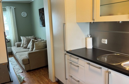 Alesund Apartment | Sentralt Leilighet