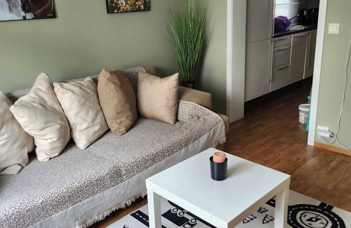 Alesund Apartment | Sentralt Leilighet