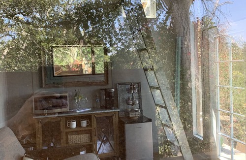 Prunedale Cabin | Serene Cab-Inn amongst Oaks on Private 20 acres