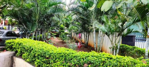 HSR Layout Hotel | SERENE INTERNATIONAL