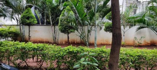 HSR Layout Hotel | SERENE INTERNATIONAL