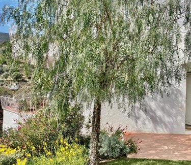 Cadaques Apartment | Ses Terrasses