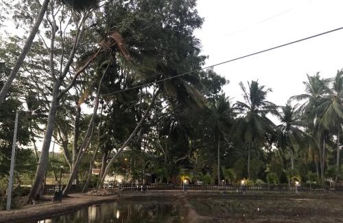 Minneriya Hotel | Sethway Village