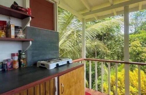 Concordia Cabin | Shade Forest Hideaway + Private Waterfall