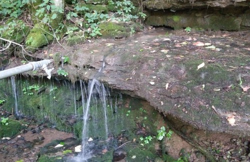 Gainesboro RV Rental | Shaggy Bark Camping5. A more private camping experience. The 75 acre Walker Farm