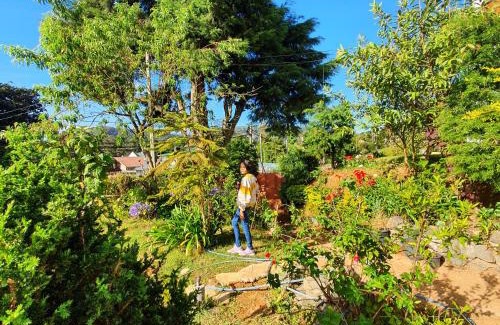 Hawa Eliya House | Shalom Bungalow