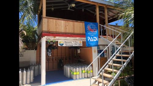 Maamigili House | Shamar Guesthouse & Dive
