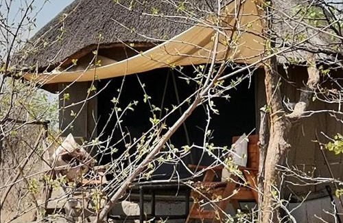 Phalaborwa Cabin | Shanatsi Safari Lodge