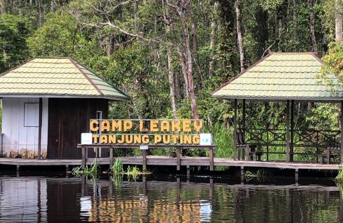 Kumai Boat Rental | Shankara Orangutan Kelotok Cabin Houseboat