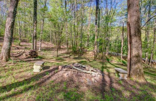 Elkton House | Shenandoah National Park Cabin with Patio!