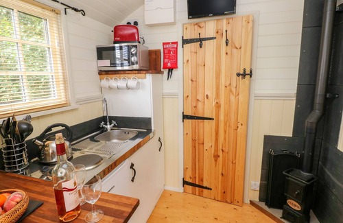 Milford Haven Cabin | Shepherds Hut - The Crook
