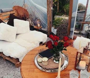 Westbourne House | Shepherds hut with Alpaca views