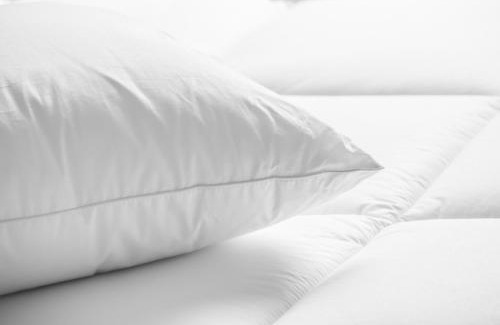 Norfolk Hotel | Sheraton Norfolk Waterside Hotel