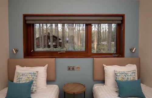 Clipstone Resort | Sherwood Forest Cabins - Forest Holidays