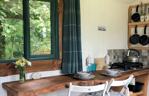 Bethania Cabin | Shire the Shepherd's Hut - Welcoming Dogs