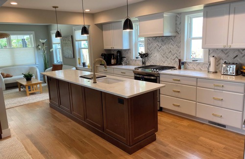 Ann Arbor House | Short Walk to the Big House, Modern Spacious 3 BR + Basement Suite, 3.5 baths