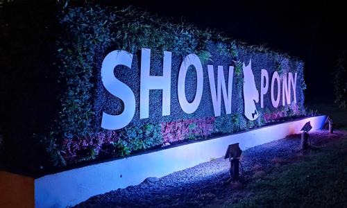 El Jobo Hotel | Show Pony Beach Resort and Suites