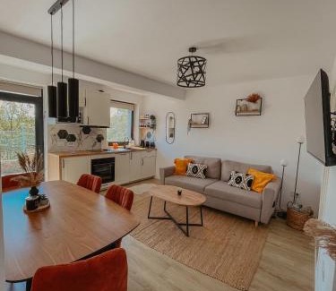 Sura Mare Apartment | Sibiu City Lights
