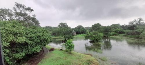 Hingurakgoda Hotel | Sigiri Vananthara