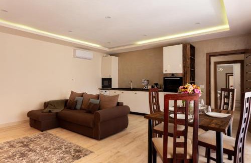 Arad Apartment | Sika President Garden & Spa Central Apartment Arad