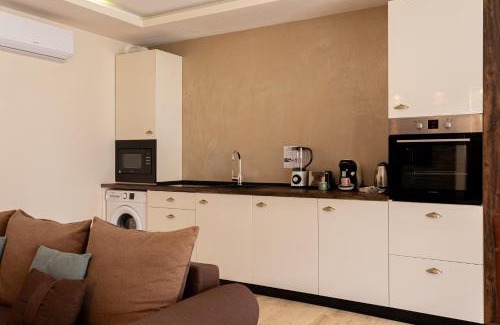 Arad Apartment | Sika President Garden & Spa Central Apartment Arad
