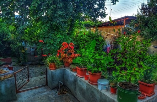 Azerbaijan Apartment | Silent House
