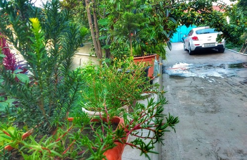 Azerbaijan House | SILENT HOUSE