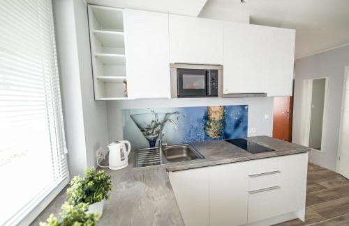 Jelitkowo Apartment | Silver One Apartments