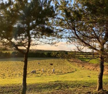 Helford Passage Other | Silverspring Glamping The Shepherds Hut